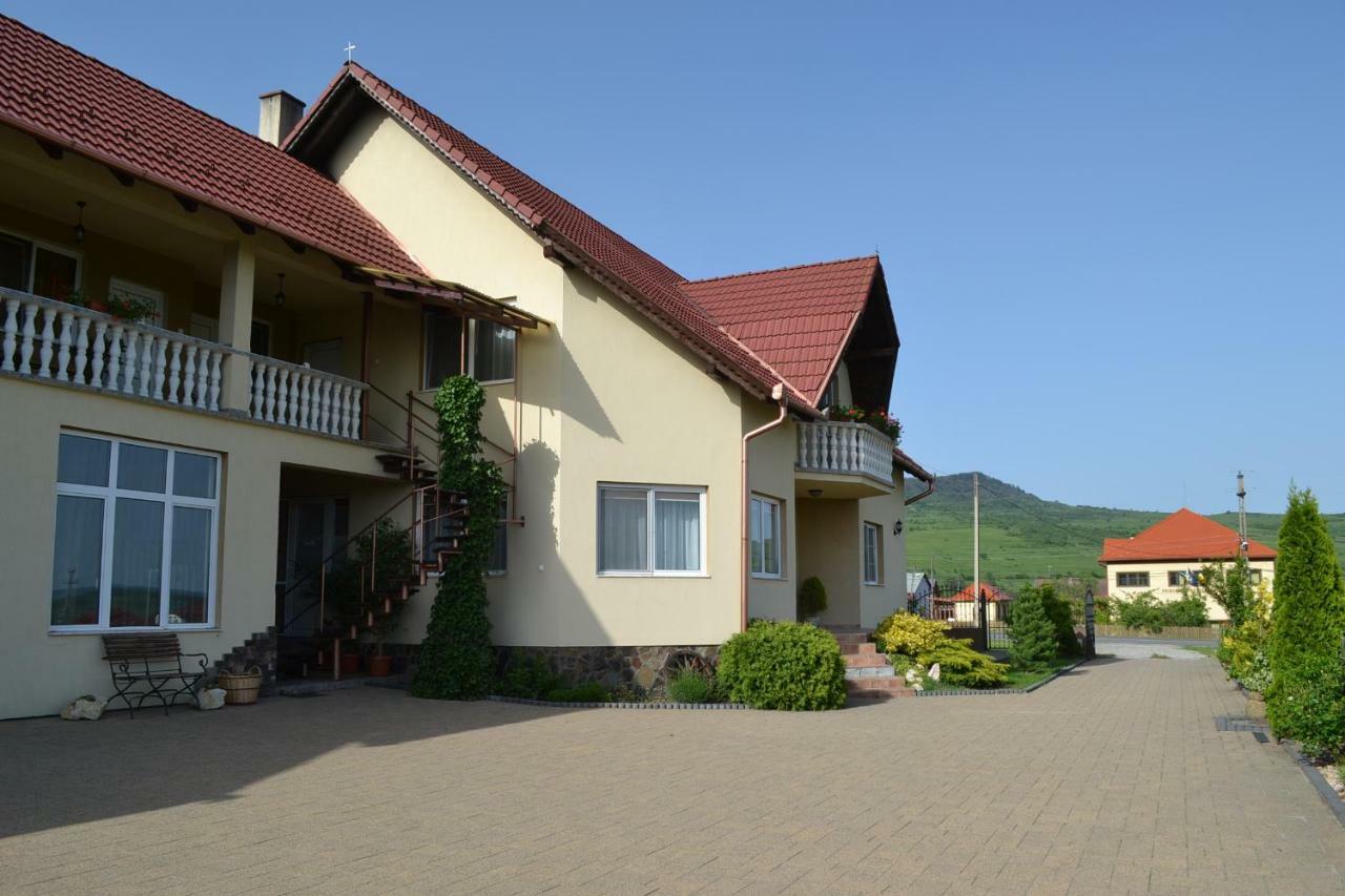 Hotel Margareta Vendeghaz Lupeni  Exteriér fotografie